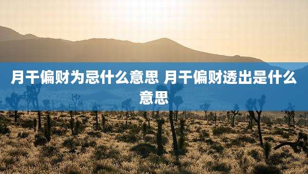 月干偏财为忌什么意思 月干偏财透出是什么意思
