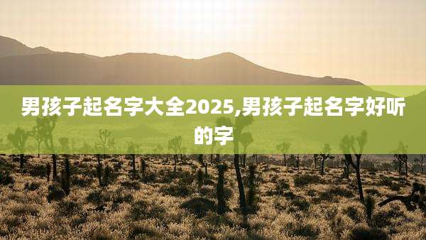 男孩子起名字大全2025,男孩子起名字好听的字