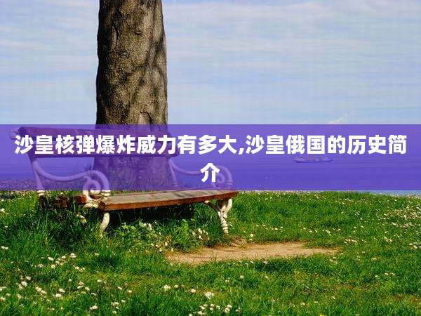 沙皇核弹爆炸威力有多大,沙皇俄国的历史简介