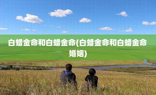 白蜡金命和白蜡金命(白蜡金命和白蜡金命 婚姻)