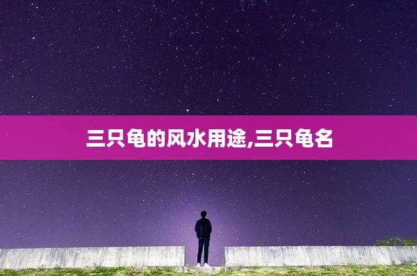 三只龟的风水用途,三只龟名