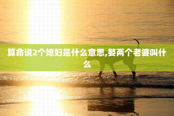 算命说2个媳妇是什么意思,娶两个老婆叫什么