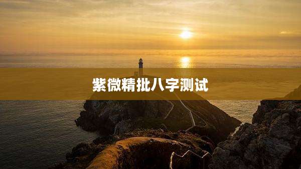 紫微精批八字测试