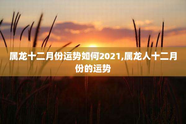 属龙十二月份运势如何2021,属龙人十二月份的运势