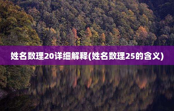 姓名数理20详细解释(姓名数理25的含义)