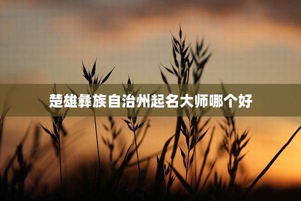 楚雄彝族自治州起名大师哪个好