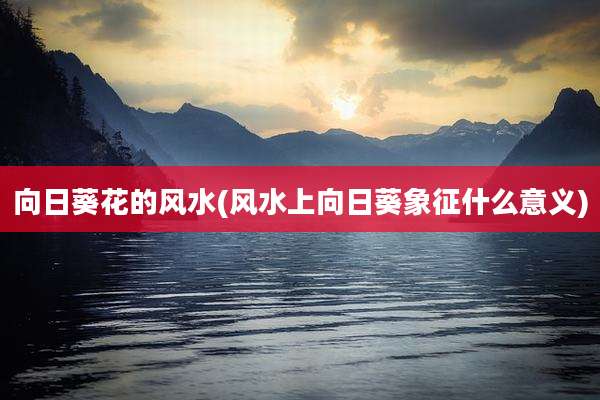 向日葵花的风水(风水上向日葵象征什么意义)