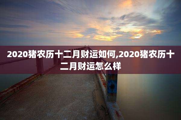 2020猪农历十二月财运如何,2020猪农历十二月财运怎么样