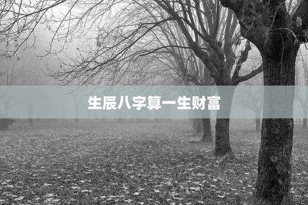 生辰八字算一生财富