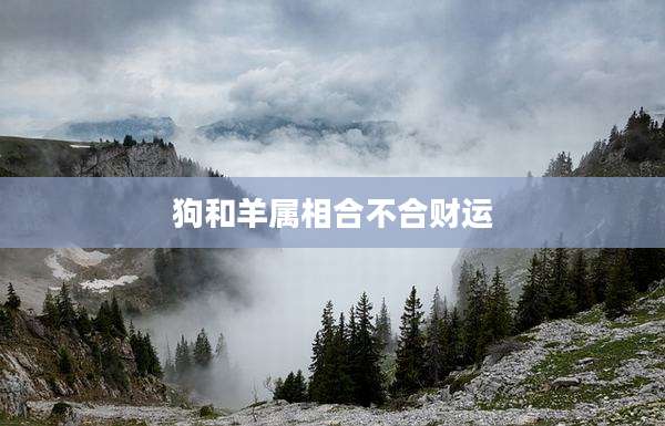 狗和羊属相合不合财运