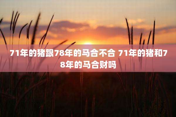 71年的猪跟78年的马合不合 71年的猪和78年的马合财吗