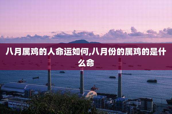 八月属鸡的人命运如何,八月份的属鸡的是什么命