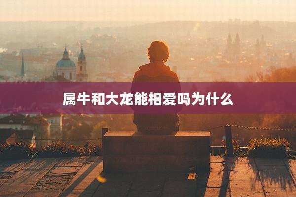 属牛和大龙能相爱吗为什么