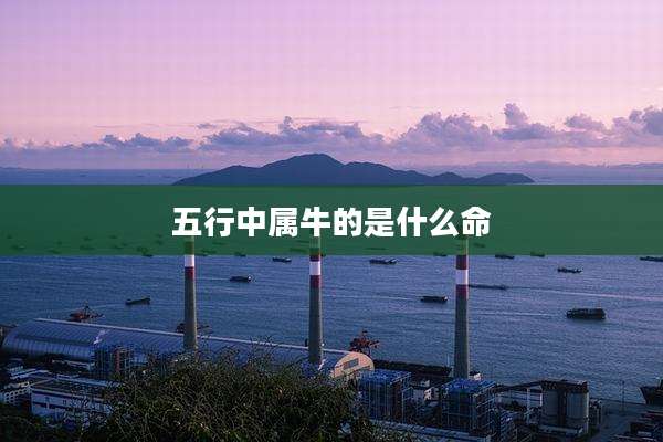 五行中属牛的是什么命
