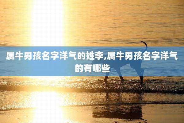 属牛男孩名字洋气的姓李,属牛男孩名字洋气的有哪些