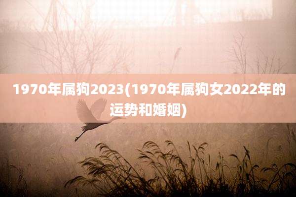 1970年属狗2023(1970年属狗女2022年的运势和婚姻)
