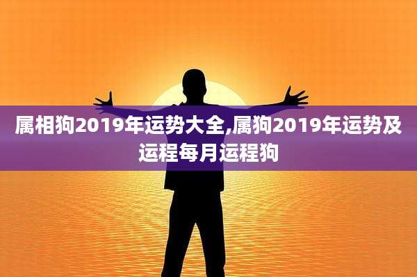 属相狗2019年运势大全,属狗2019年运势及运程每月运程狗