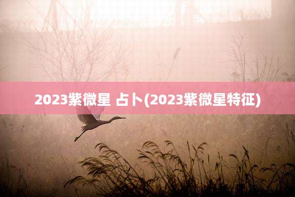2023紫微星 占卜(2023紫微星特征)