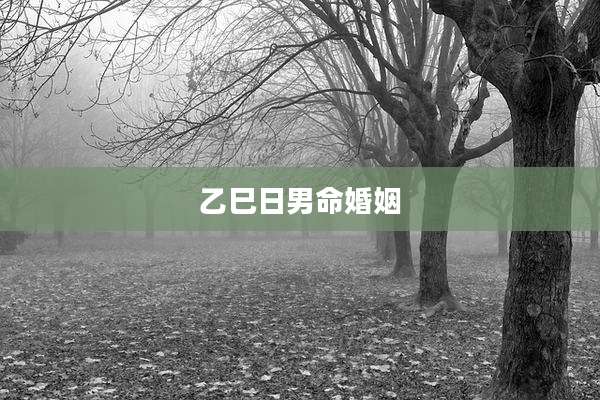 乙巳日男命婚姻