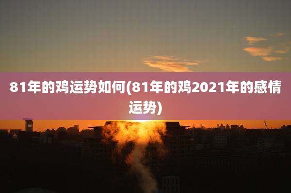 81年的鸡运势如何(81年的鸡2021年的感情运势)
