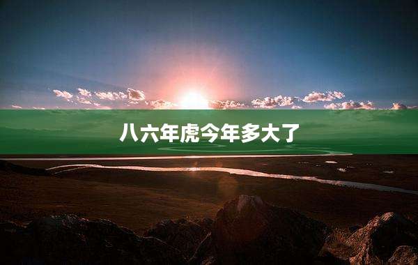 八六年虎今年多大了