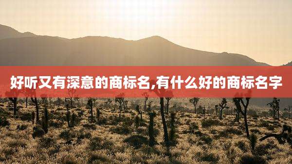 好听又有深意的商标名,有什么好的商标名字