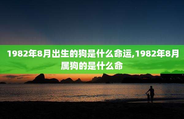 1982年8月出生的狗是什么命运,1982年8月属狗的是什么命