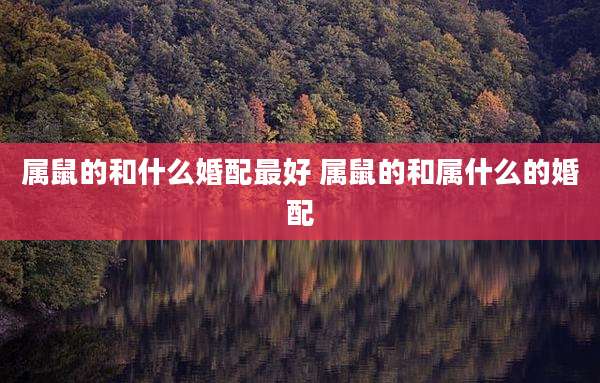 属鼠的和什么婚配最好 属鼠的和属什么的婚配