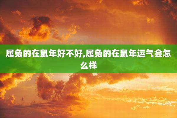 属兔的在鼠年好不好,属兔的在鼠年运气会怎么样