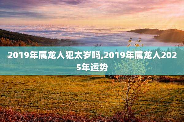 2019年属龙人犯太岁吗,2019年属龙人2025年运势