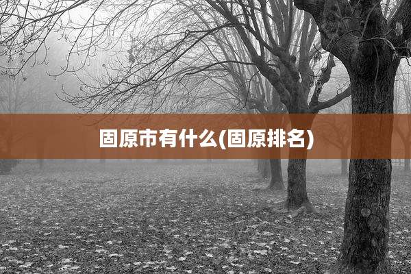 固原市有什么(固原排名)