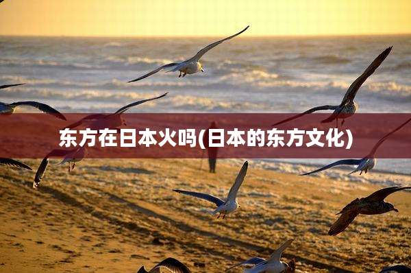 东方在日本火吗(日本的东方文化)
