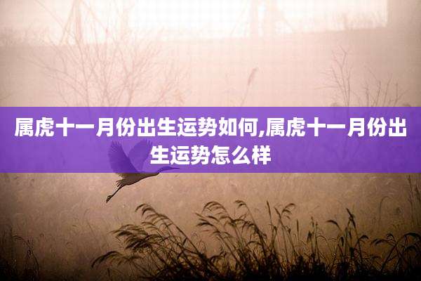 属虎十一月份出生运势如何,属虎十一月份出生运势怎么样