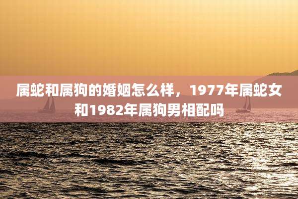 属蛇和属狗的婚姻怎么样，1977年属蛇女和1982年属狗男相配吗
