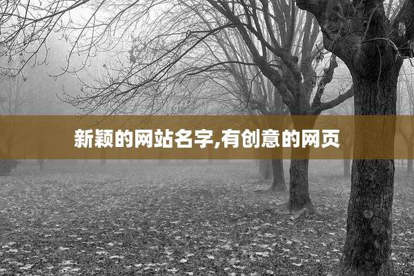 新颖的网站名字,有创意的网页