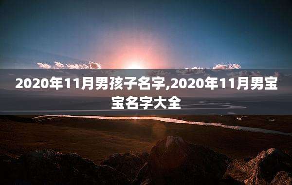 2020年11月男孩子名字,2020年11月男宝宝名字大全