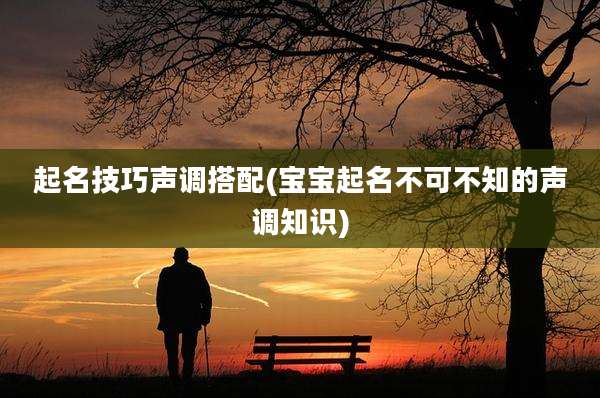 起名技巧声调搭配(宝宝起名不可不知的声调知识)
