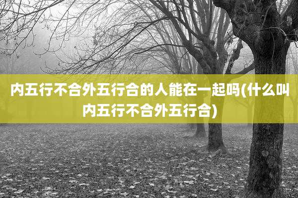 内五行不合外五行合的人能在一起吗(什么叫内五行不合外五行合)
