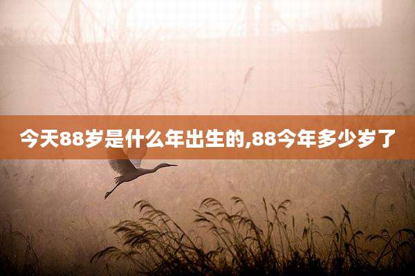 今天88岁是什么年出生的,88今年多少岁了