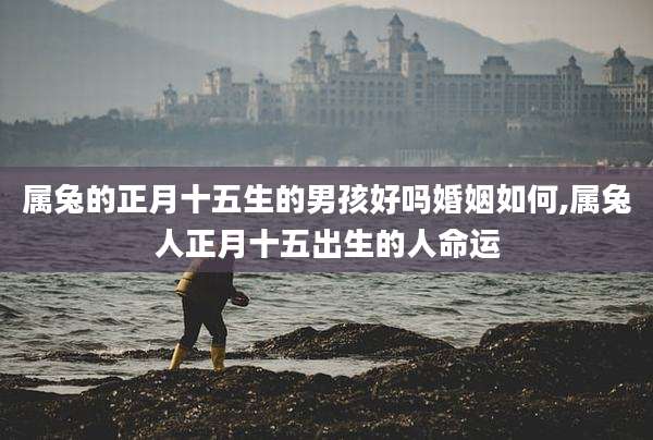 属兔的正月十五生的男孩好吗婚姻如何,属兔人正月十五出生的人命运