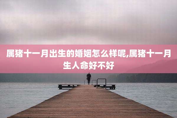 属猪十一月出生的婚姻怎么样呢,属猪十一月生人命好不好