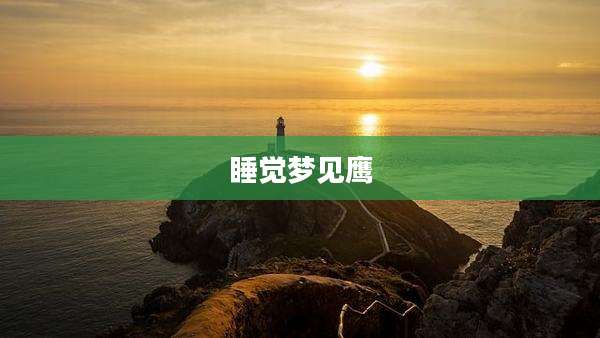 睡觉梦见鹰