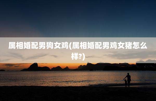 属相婚配男狗女鸡(属相婚配男鸡女猪怎么样?)