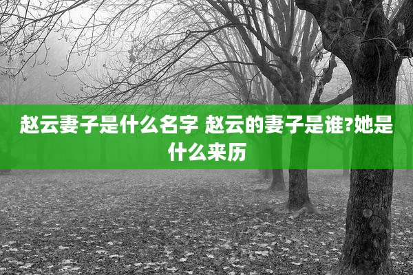 赵云妻子是什么名字 赵云的妻子是谁?她是什么来历
