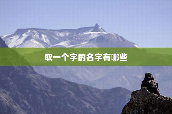 取一个字的名字有哪些