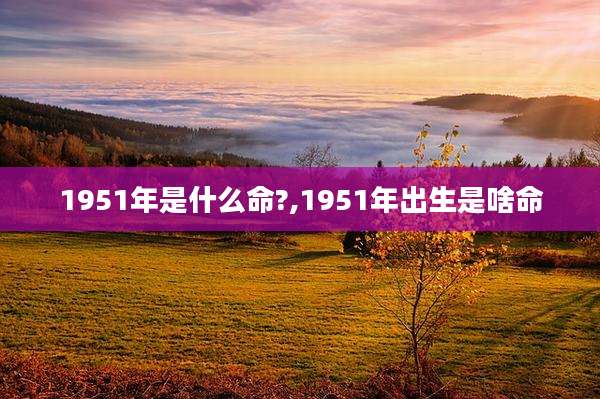 1951年是什么命?,1951年出生是啥命