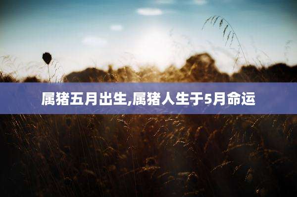 属猪五月出生,属猪人生于5月命运