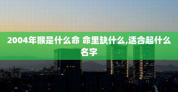2004年猴是什么命 命里缺什么,适合起什么名字