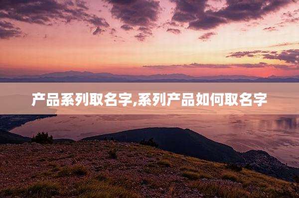 产品系列取名字,系列产品如何取名字