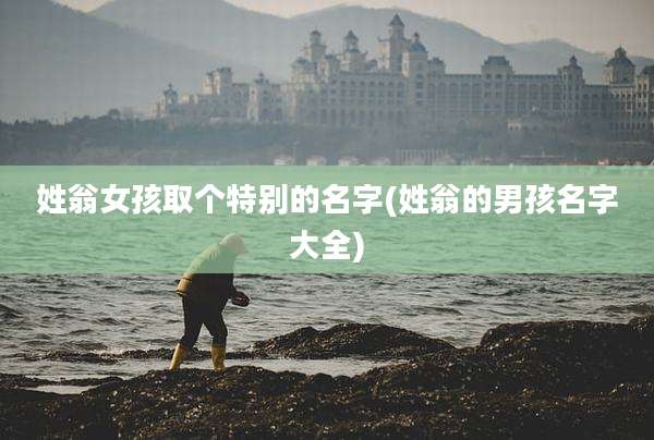 姓翁女孩取个特别的名字(姓翁的男孩名字大全)